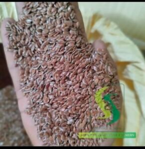 Green Aura bold Flax seeds/Alsi/Flaxseed/Linseed 25kg