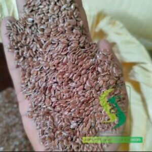 Green Aura bold Flax seeds/Alsi/Flaxseed/Linseed 25kg