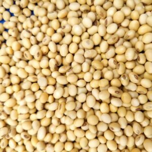 Green Aura Soybean NRC 142 for tofu 35kg