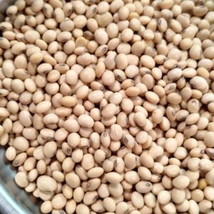 Green Aura Soybean NRC 150 for Tofu