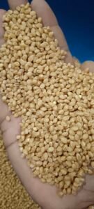 Green Aura Sona Moti Wheat 35kg