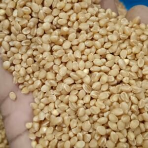 Green Aura Sona Moti Wheat 35kg